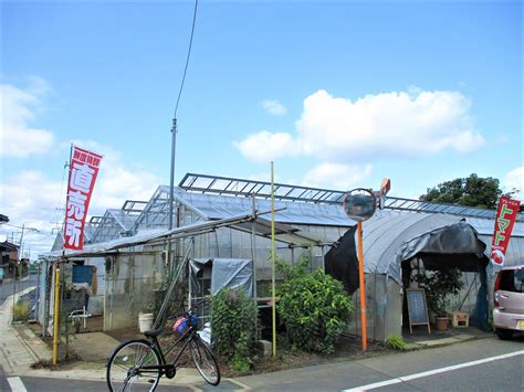 秋池農園|秋池農園(地頭方)/農場